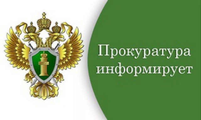 foto 2024 12 12 15 51 001
