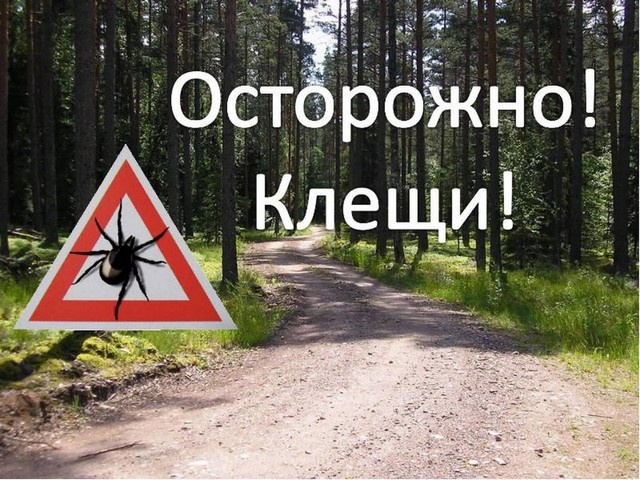 foto 2025 06 25 09 19 001