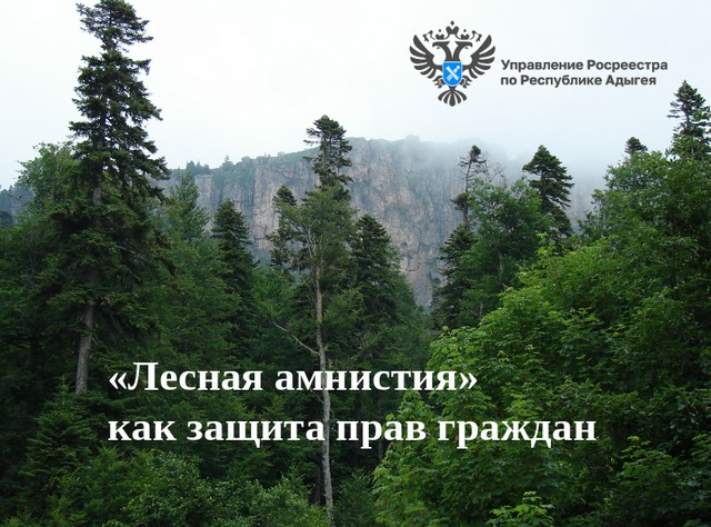 foto 2025 03 28 08 16 003