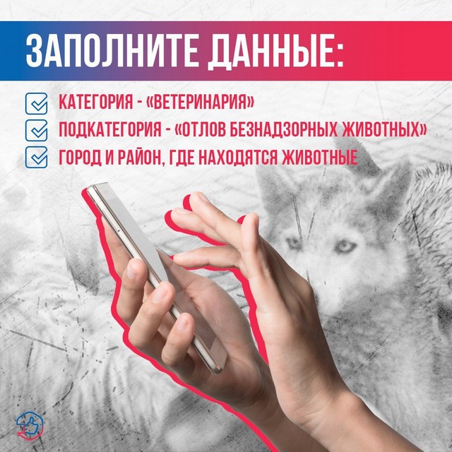 foto 2025 06 24 14 10 001