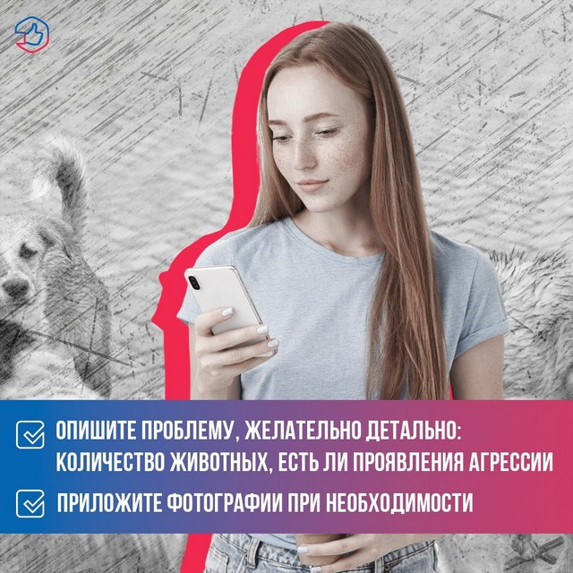 foto 2025 06 24 14 10 002