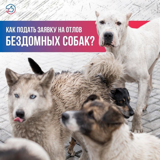 foto 2025 06 24 14 10 004